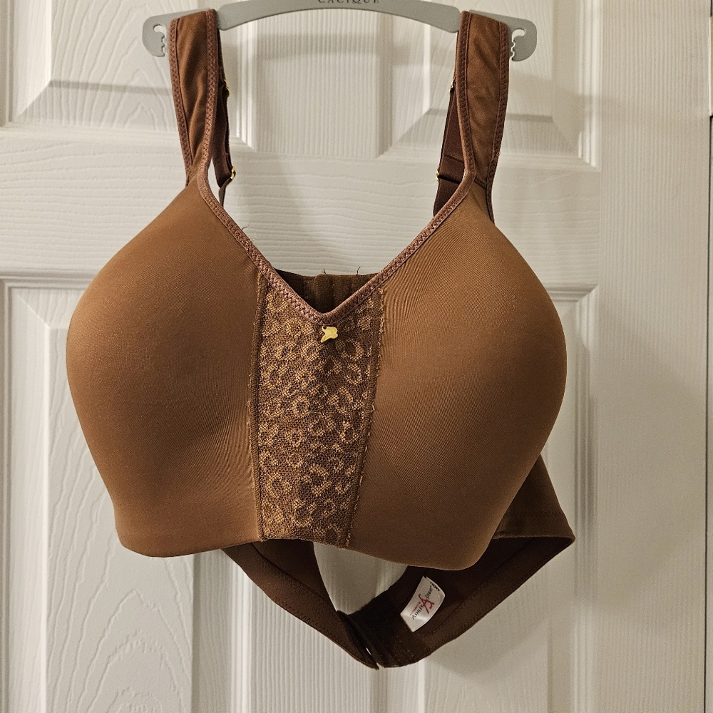 Brown Intimate Bra